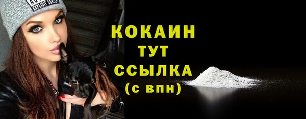 mdpv Бронницы