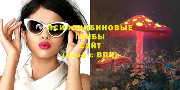 mdpv Бронницы