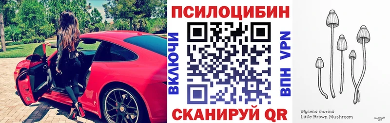 Купить где  Черемхово  Галлюциногенные грибы Cubensis 